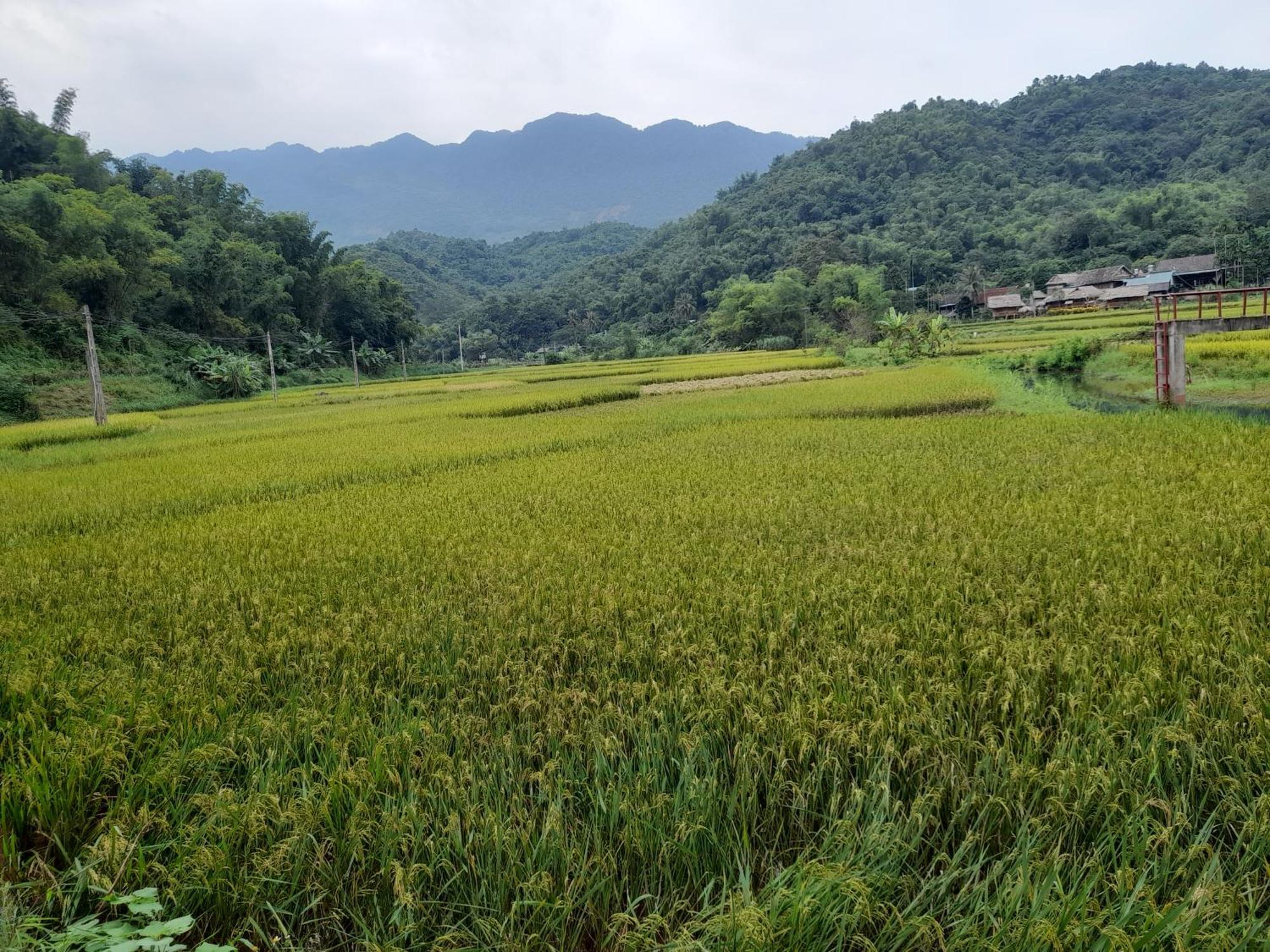 Hòa Bình Thao Ly Homestay Mai Chau מראה חיצוני תמונה
